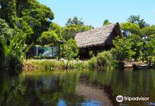 Sainte Luce Reserve景点图片