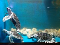 峇都矛水族馆-巴彦勒巴