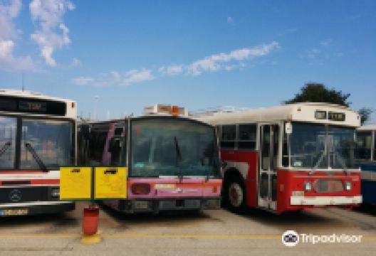 Egged Bus Museum景点图片