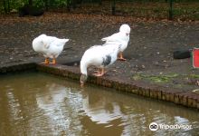 Stadsboerderij Beeklust景点图片