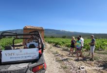 VMV Vignerons du Mont Ventoux景点图片