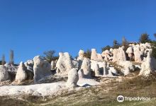 The Petrified Wedding景点图片
