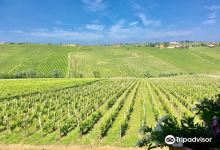 Azienda Agricola Lusenti景点图片