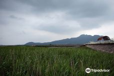 Gangjin Bay Ecological Park-康津郡