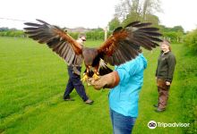 Raptor World景点图片