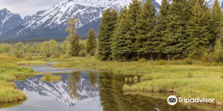 Blacktail Ponds Overlook