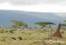 Yabelo Wildlife Sanctuary景点图片