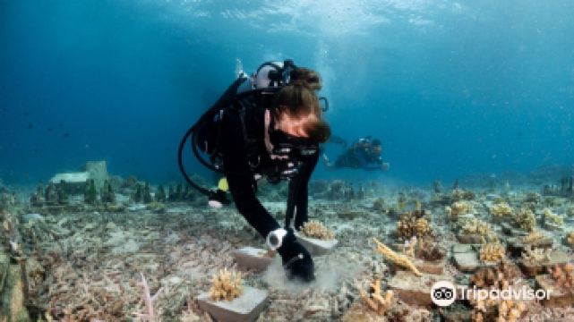 熱帶研究與保護中心