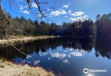 Tverstedsoeerne景点图片