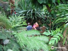 Olbrich Botanical Gardens-麦迪逊