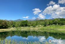 八ヶ岳自然文化園景点图片