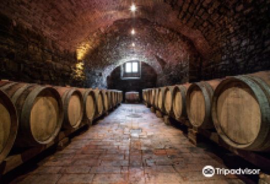 Cantina Castelvecchi in Chianti景点图片