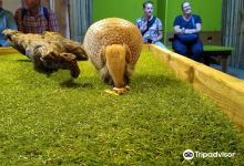 Zoo Bizar景点图片