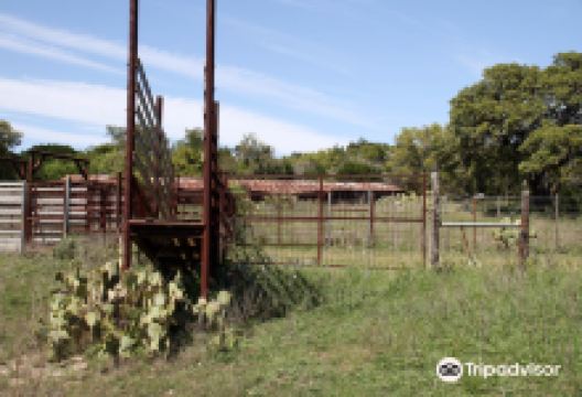 Kerr Wildlife Management Area - TPWD景点图片