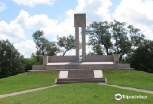 Fannin Monument景点图片