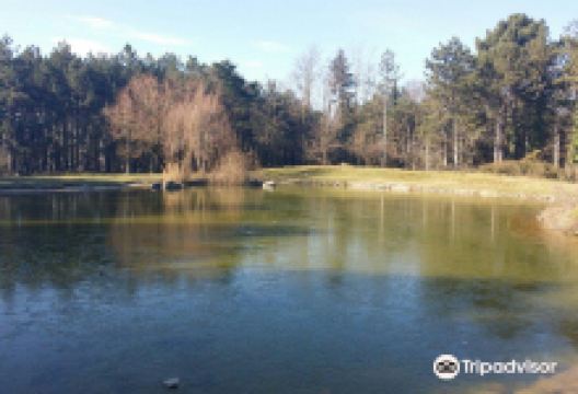 Pirsinella Park景点图片