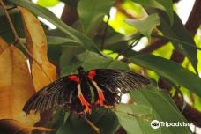 Casa delle Farfalle-米兰马瑞提那