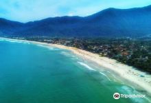 Maresias Beach景点图片