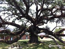 Imperial Calcasieu Museum-查尔斯湖