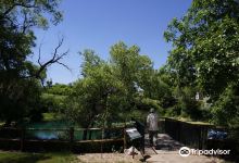 McNenny State Fish Hatchery景点图片