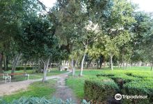 Vitturi Park景点图片