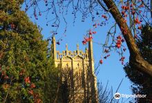 Ernest Wilson Memorial Garden景点图片