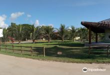 Parque Nacional do Pau Brasil景点图片