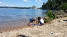 Tubbs Hill-科达伦