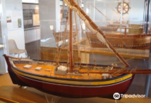 Musee de la Mer景点图片