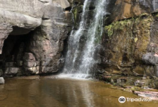 Mongaup Falls景点图片