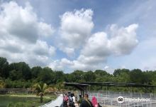 Sarang Buaya Pasir Gudang景点图片