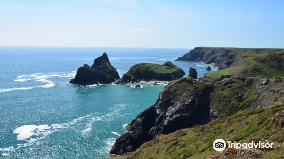 Kynance Cove from Lizard Green Walk