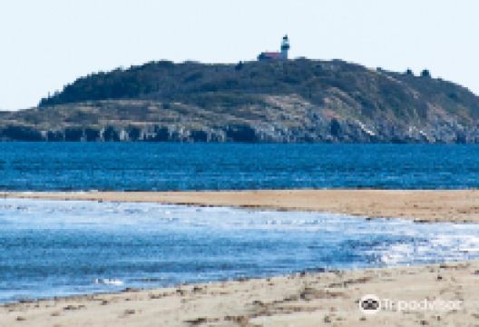 Seguin Island and Lighthouse景点图片