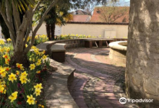 Coquille de Saint-Jacques de Compostelle景点图片