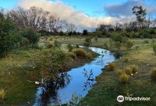 Hanson Bay Wildlife Sanctuary景点图片