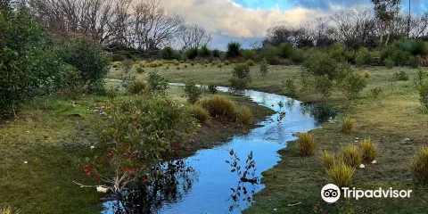 Hanson Bay Wildlife Sanctuary