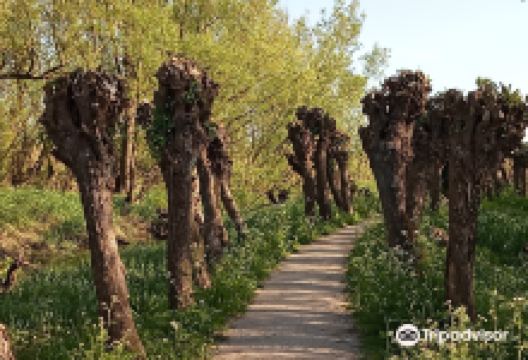 Carnisse Grienden景点图片