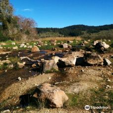 安娜德尔州立公园-圣罗莎