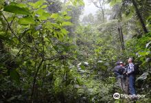 Parque Natural Los Tunos景点图片