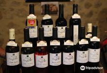 Domaine du Grand Arc景点图片