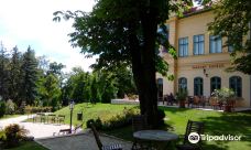 瓦萨里画廊-巴拉顿菲赖德