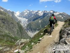 Alpine Trails-菲斯普