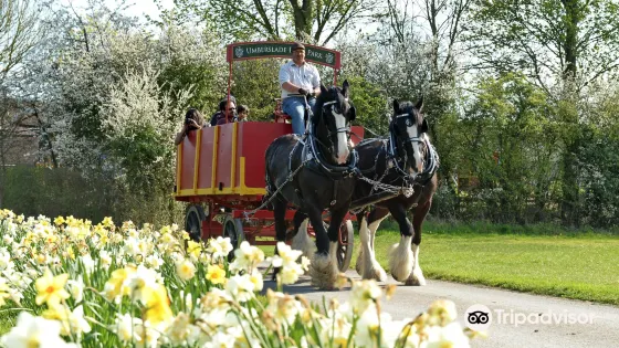 Umberslade Farm Park