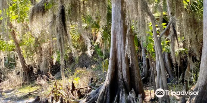Palm Bluff Conservation Area
