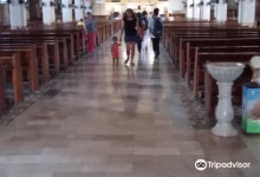 Church of the Immaculate Conception景点图片