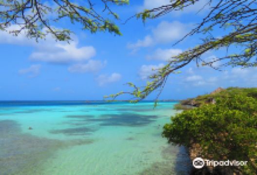 Mangel Halto Beach景点图片