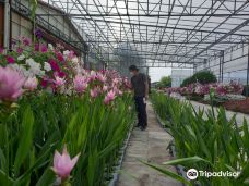 世界花卉植物园-牙山市