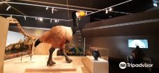 Megafauna Central - Museum and Art Gallery of NT-爱丽斯泉