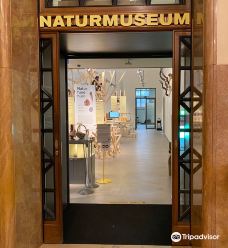 Naturmuseum Winterthur-温特图尔