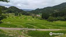 Oyama Rice Terraces-鸭川市